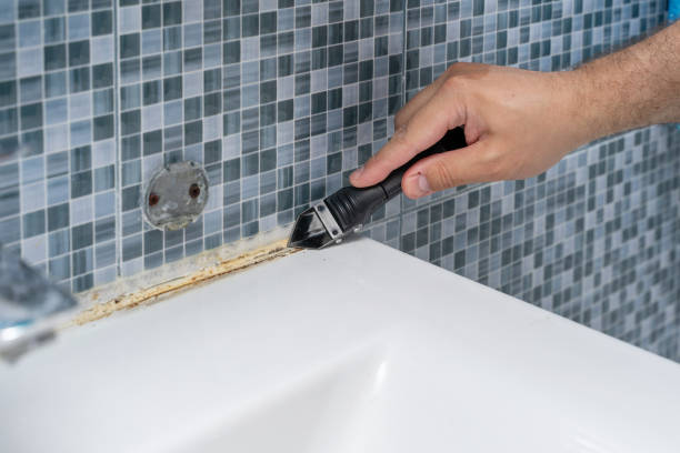 Best Attic Mold Removal  in Thomasboro, IL