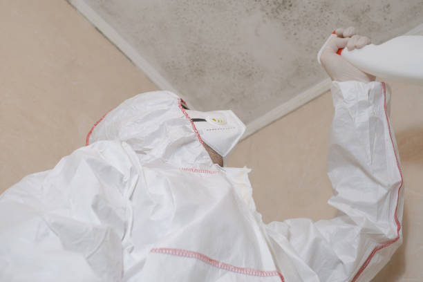 Best Crawl Space Mold Removal  in Thomasboro, IL